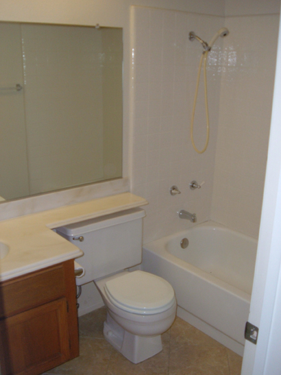 Yorba Linda bath remodel side view before.